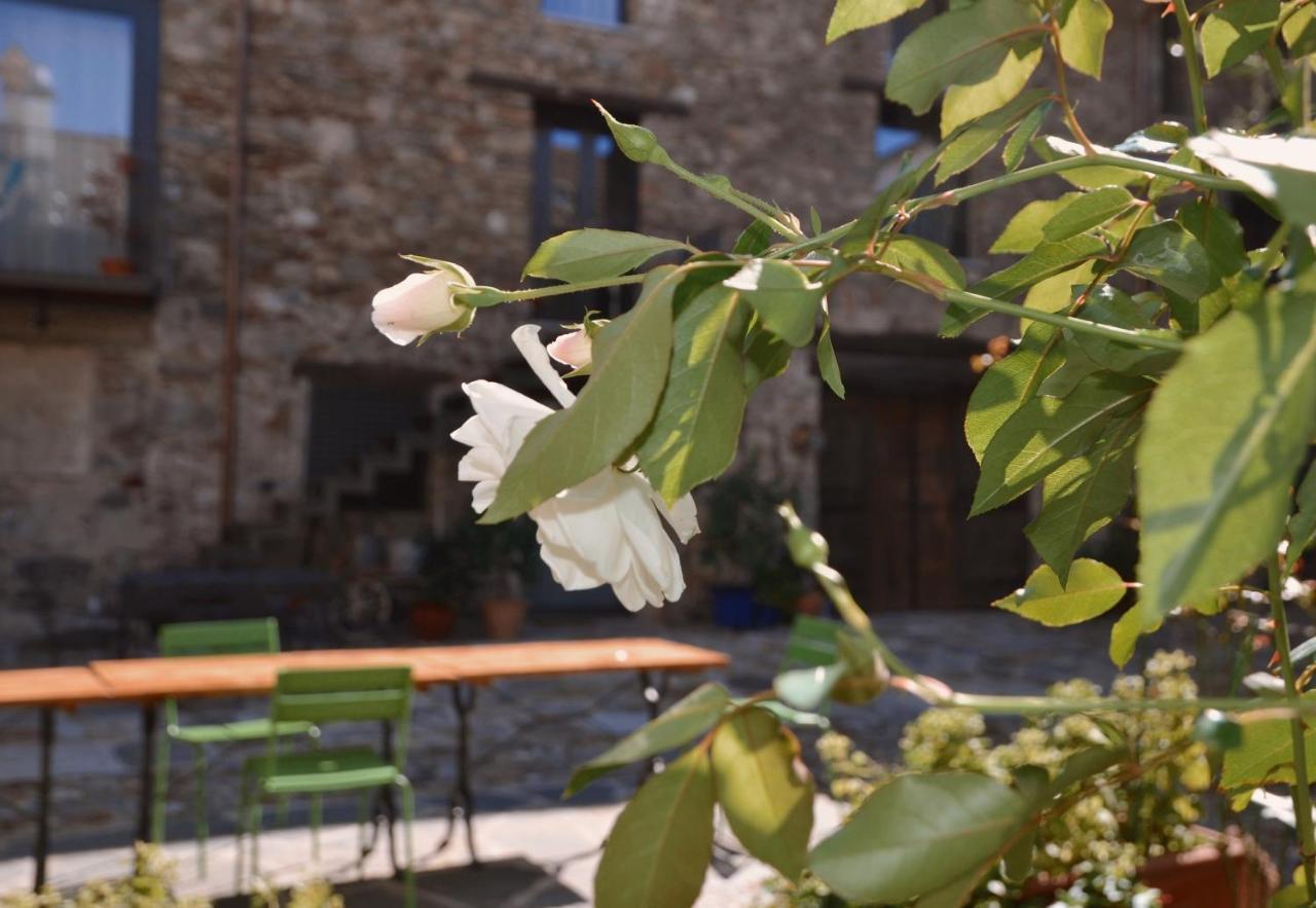 Antica Sosta Dei Viandanti Bed and Breakfast Cadenazzo Buitenkant foto
